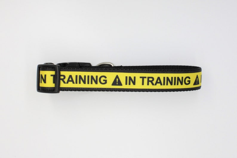 IN Training dog Collar/leash sets, Service Animal dog Collar, Emotional Support dog collar, Service dog collar , dog collars, dog collar, image 2