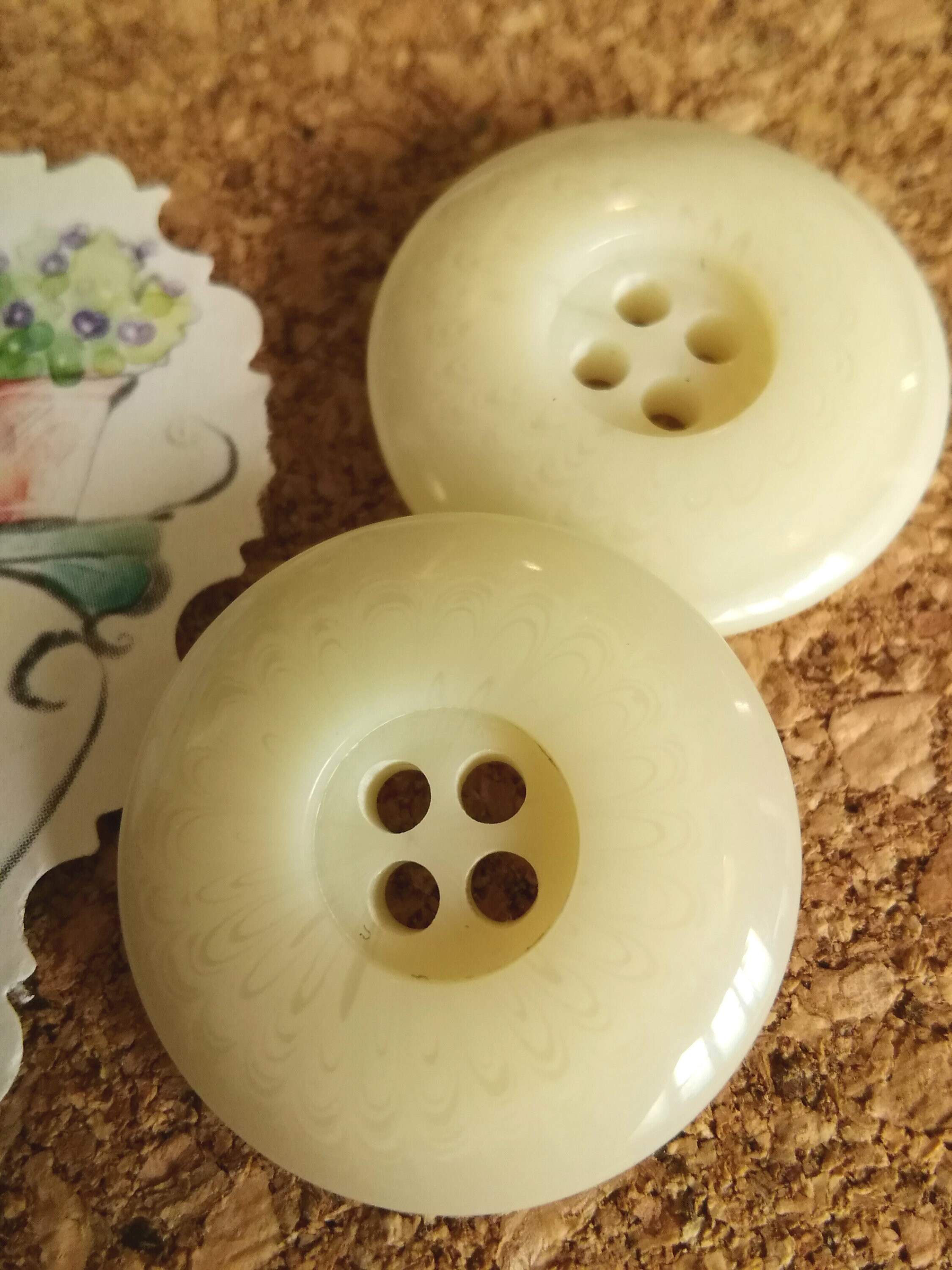 22mm Light Ivory Button Acrylic Beige Button Round Ivory Button Ivory ...