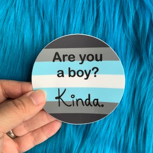 Are you a boy ? Kinda. | Demiboy Pride Flag Waterproof Sticker | Weatherproof | Decal