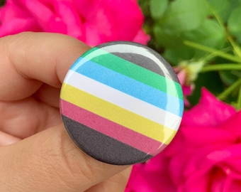 Disability Pride Flag 1.25” inch Pin Back Button| Disabled | Updated Flag