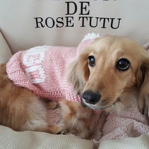 Langhaar Dackel Bingo Hoodie Hundepullover Kleidung Handstricken aus Wollmischung Personalisierte Stickerei mit Name Ihres Hundewelpen Haustier