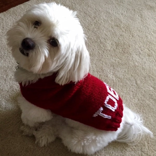 Maltese Clothes Etsy