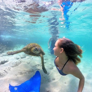 Swimmable Mermaid Tail and Top for Youth/Teens SunTails Nunui Mono Fin image 4