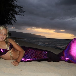Swimmable Mermaid Tail and Butterfly Top (WITHOUT A MONO FIN)