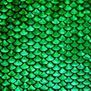 May include: A close-up of a green, scale-like pattern. The scales are a vibrant green color and arranged in overlapping rows. The pattern has a textured appearance, with each scale catching the light.