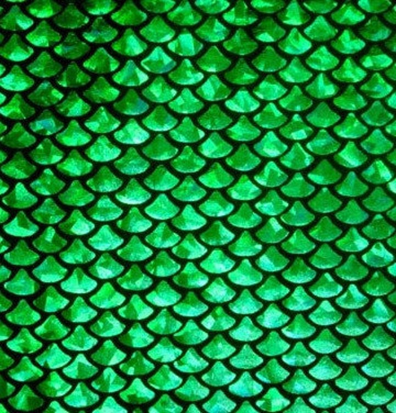 May include: A close-up of a green, scale-like pattern. The scales are a vibrant green color and arranged in overlapping rows. The pattern has a textured appearance, with each scale catching the light.