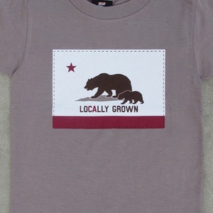 Locally Grown - Eco-friendly Organic Water-based Toddler and Youth California Bears Cinder Graphic T-shirt // California Flag