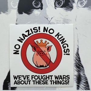 No Nazis No Kings sticker - 3"x3" - Anti-Trump Anti-Elon - Veterans KNOW! Fight Fascism