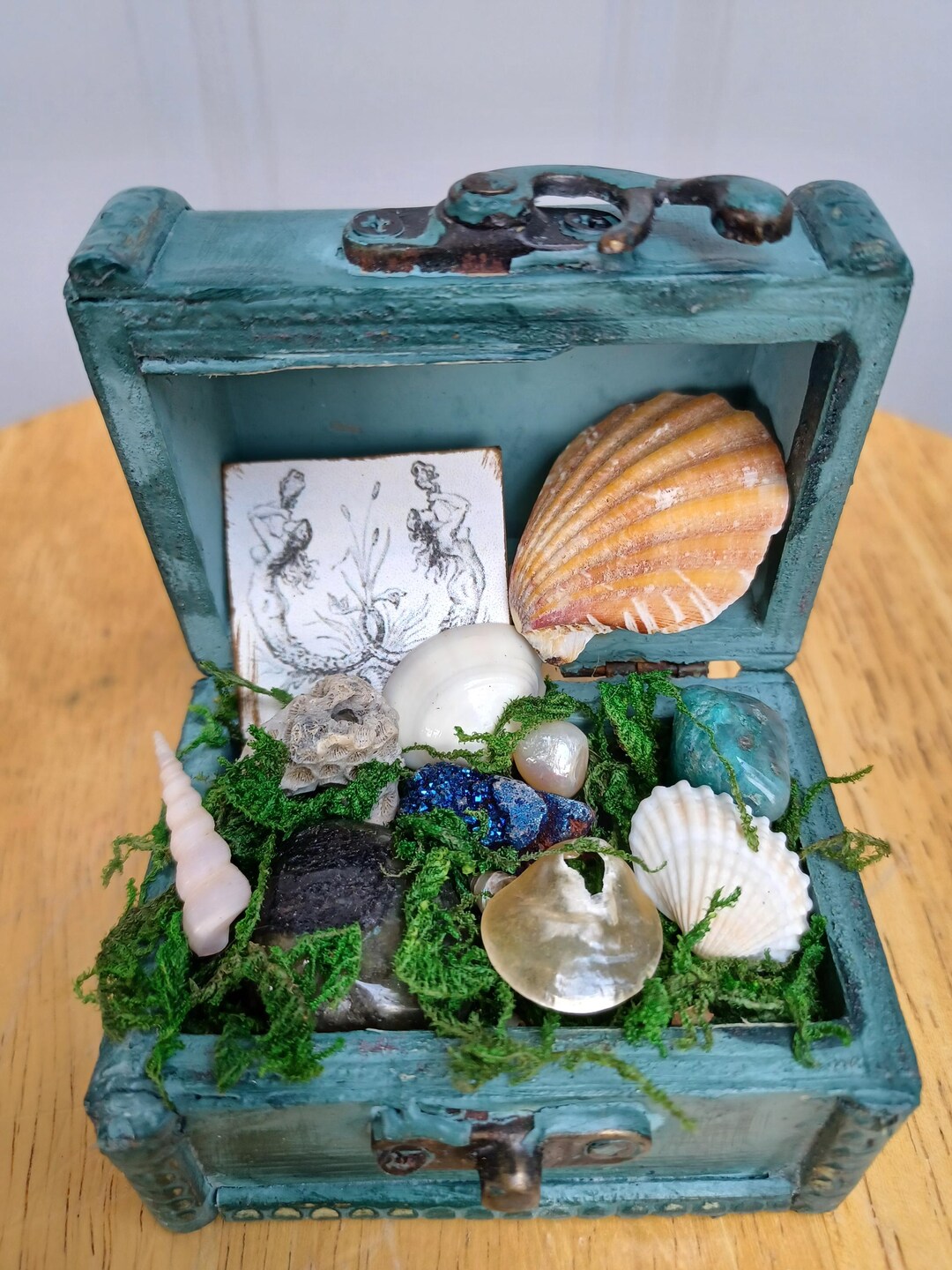 Witchery Shell Miniature Treasure Chest Trinket Box Filled Sea Shells Crystals Moss ...
