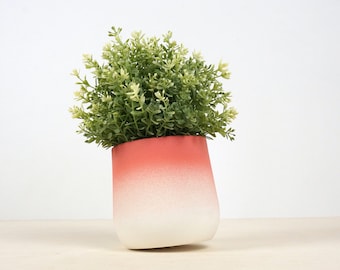 May include: A small potted plant with green leaves in a white and coral ombre ceramic planter. The planter is round and has a slightly uneven base.
