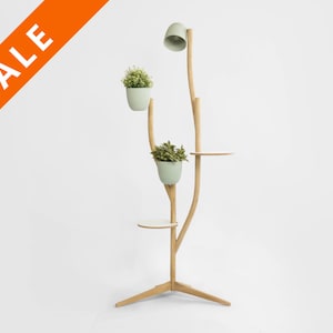 May include: A wooden plant stand with a light fixture and three shelves. The stand is shaped like a tree with branches and a base. The shelves are white and the plant pots are light green.