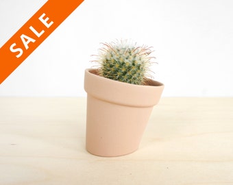 May include: A small cactus plant in a light pink ceramic pot. The pot is tilted to the side.