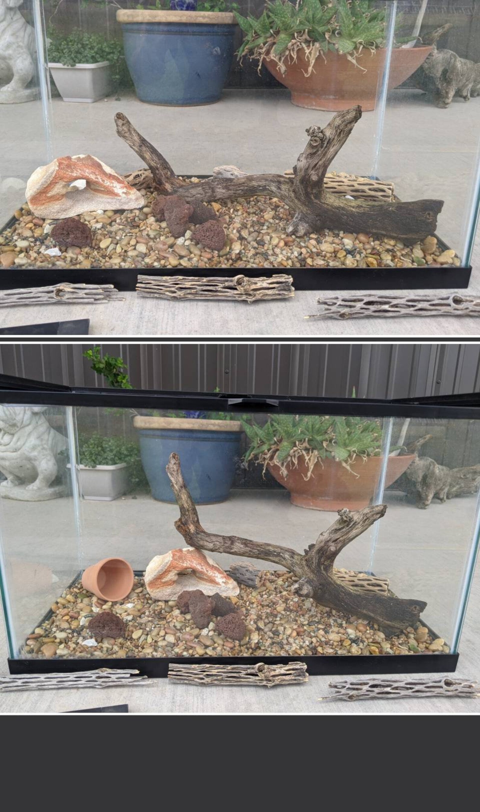 Natural found branch stump for aquarium or critter habitat Etsy