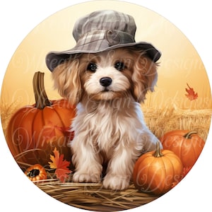 Lindo cartel de corona con perro con sombrero de otoño, cartel de perro otoñal, cartel redondo, accesorio de corona, centro de corona, metal sublimado