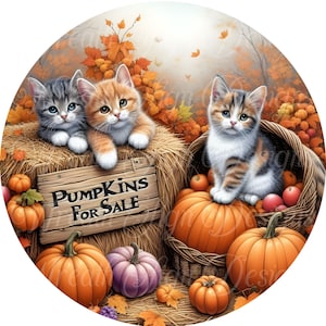 Cartel de corona de otoño con calabazas en venta, cartel de corona de otoño con lindos gatitos, calabazas, gatos y manzanas, cartel de corona, centro de corona, accesorio