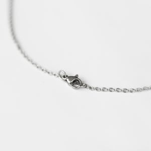 May include: A silver chain necklace with a lobster clasp closure.