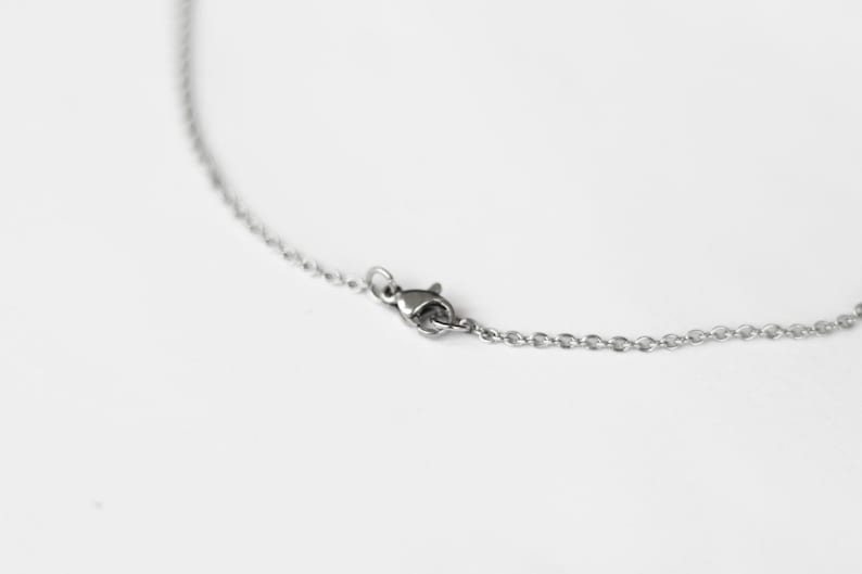 May include: A silver chain necklace with a lobster clasp closure.