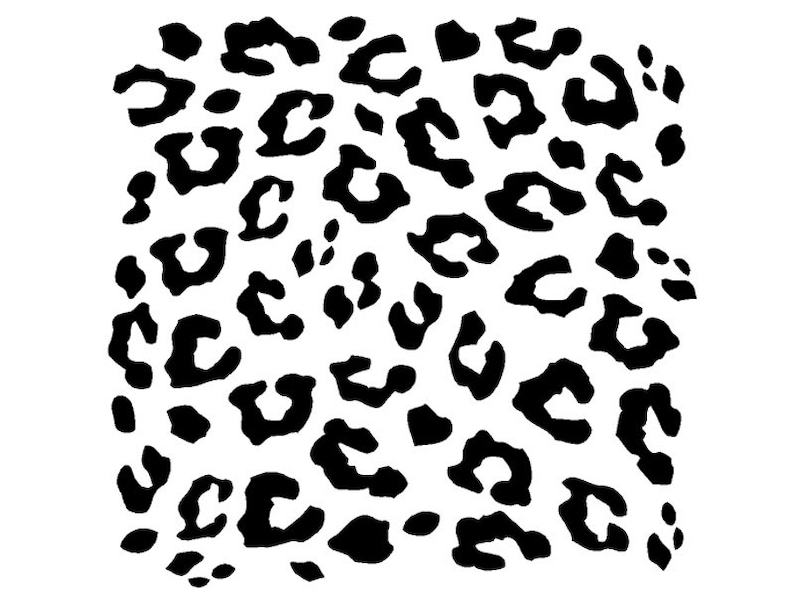 Leopard Print Girls Teen Room Vinyl Wall Decal Graphics Etsy