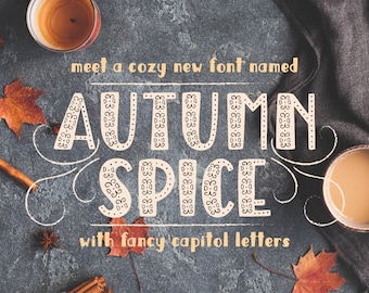 Autumn Spice Display San Serif Font