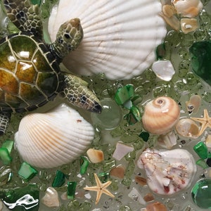 Puede incluir: Una figurita de tortuga verde con una concha blanca, rodeada de piezas de vidrio verde y marr&oacute;n, conchas blancas y una estrella de mar.