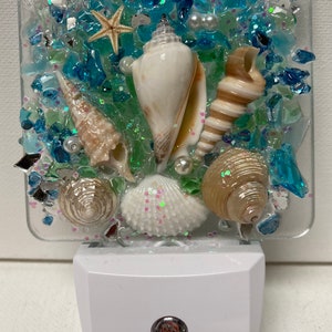 Coastal nightlight/shell night light/night light/wall light/beach light/resin nightlight/ocean nightlight/LED light/decorative night light/