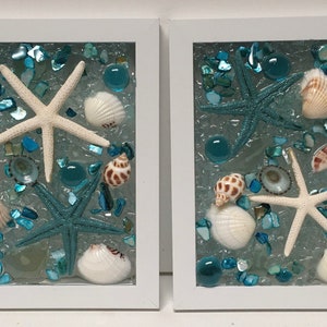 Seashell medley arrangement, sea glass window, starfish art,  coastal wall hanging, beach bathroom decor, coastalart, beach glass art,