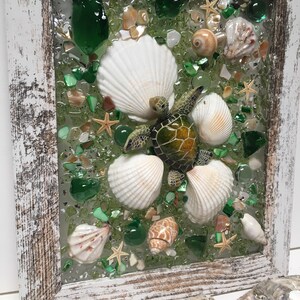 Puede incluir: Una pieza de arte en mosaico enmarcada que presenta una tortuga marina verde rodeada de conchas blancas y piezas de vidrio verde y marr&oacute;n.