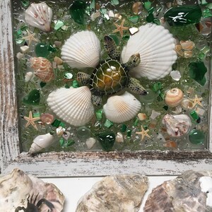 Puede incluir: Una pieza de arte de resina enmarcada que presenta una tortuga marina verde rodeada de conchas marinas y piezas de vidrio verde. El marco es blanco con un acabado desgastado.
