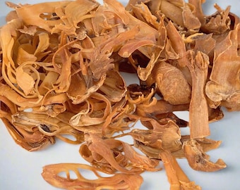 Mace Blades, Whole Mace, Shell of Nutmeg, Gift for Foodie