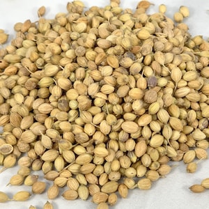 Indian Coriander Seed Whole, High Quality Spices