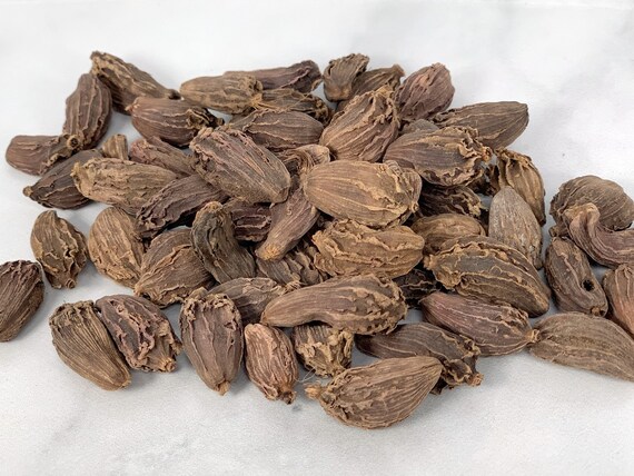 black cardamom whole amomum sublatum cardamom pods high etsy etsy