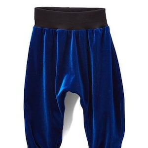 Blue Velvet Pants - Etsy