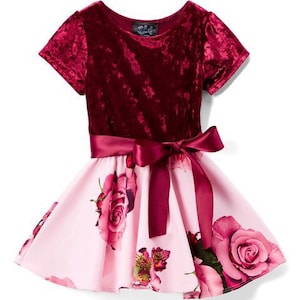 Burgundy Velvet Floral Swing Dress