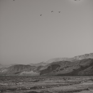 Black and white photography and watercolor collage of beach mountains birds and moon