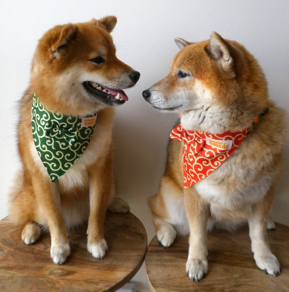Kawaii Shiba Co Karakusa Japanese Shiba Inu Dog Bandana With Adjustable Collar And Matching Color Bell