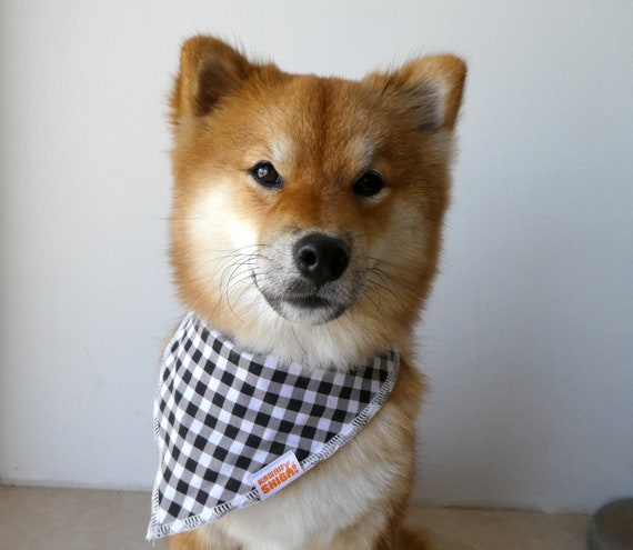 Kawaii Shiba Co Doggy Bandana Bibs Scarves With Easy On And Off Snaps 4 Pack Set