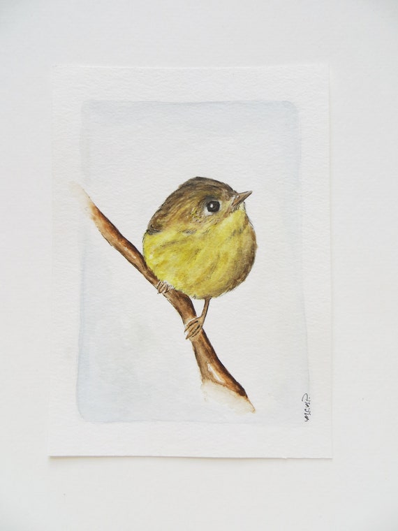 Little Yellow Bird >> Watercolor Bird Painting Original Painting Little Yellow Etsy Little Yellow Bird >> Watercolor Bird Painting Original Painting Little Yellow Etsy