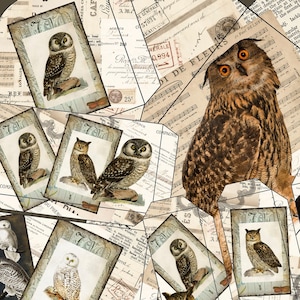 Digitale Eule Ephemera Pack Junk-Journal druckbare Vogel-Papier Scrapbook-Karte Tasche Digital Tag Print Journal Blatt