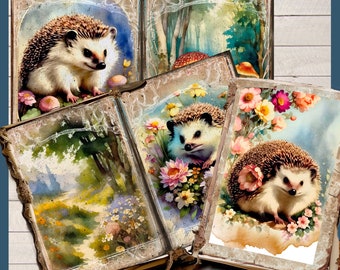 Digital Junk Journal Kit Hedgehog Vintage Nature Page Printable Botanical Scrapbook Download Wildlife Paper Animal Card Print Out DIY Craft