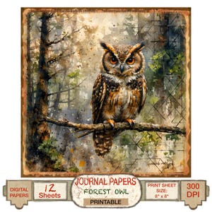 Eule druckbares doppelseitiges Papier für Junk Journal, Woodland Scrapbooking Papier, DIY Grußkarte oder Digital Design Instant Download