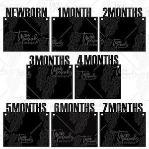 Erster Geburtstag monatliche Foto Banner 4 x 6 horizontale Layout geschnitten Datei PNG SVG JPG Baby