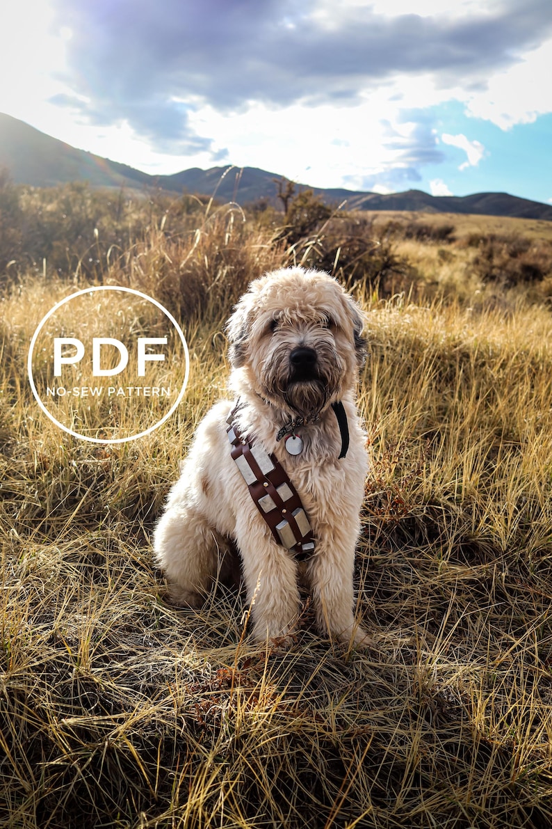 Ammo Belt, Bandolier, Dog Costume, Dog Costume Prop, Pet Costume, No