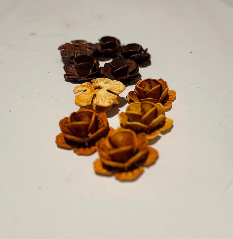 May include: A collection of small, wooden, flower-shaped embellishments in shades of brown, orange, and cream. The flowers are arranged in a semi-circle on a white surface.