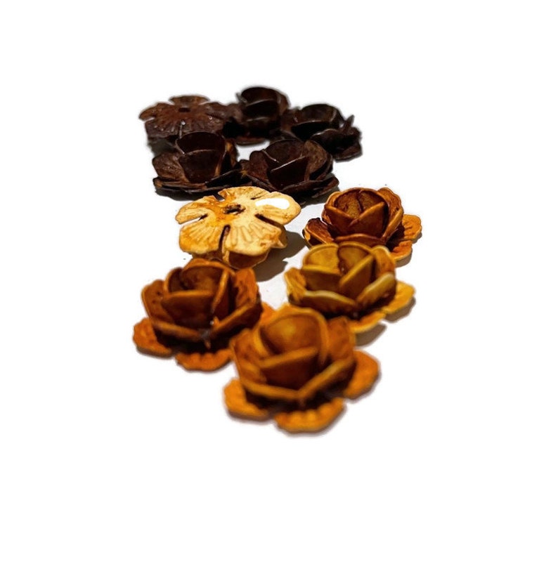 May include: A collection of wooden flower embellishments in various shades of brown and beige. The flowers are arranged in a row, with the darker brown flowers at the top and the lighter beige flowers at the bottom.