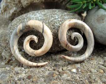 Par de hermosos espirales de tamarindo de calibre 0G - 8 mm, joyería orgánica L4549