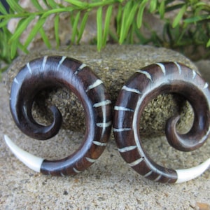 One pair of  00G- 10mm  Beautiful  Sono  gauge and buffalo bone Spiral gauge ,  Organic jewelry L2547