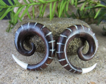 One pair of  00G- 10mm  Beautiful  Sono  gauge and buffalo bone Spiral gauge ,  Organic jewelry L2547