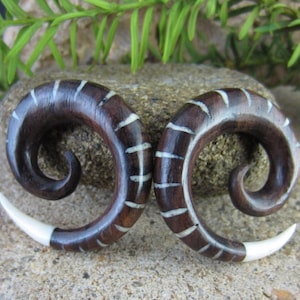 2G  Beautiful  Sono  gauge and buffalo bone Spiral gauge , Tribal gauge, Organic jewelry L2547