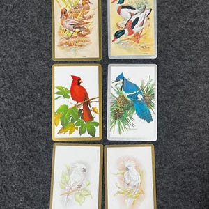 May include: Six vintage playing cards featuring bird illustrations. The cards depict various birds, including ducks, a cardinal, a blue jay, and cockatoos. Each card has a gold border and detailed artwork.