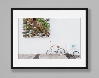 Puede incluir: Una impresión de arte mural enmarcada que muestra una bicicleta blanca con un carrito de helados adjunto, estacionada contra una pared blanca con un jardín vertical de suculentas. Debajo del marco hay una consola de metal negro con libros, una esfera y un reloj de arena.
